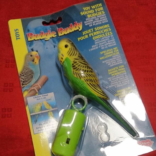 plastic parakeet buddy