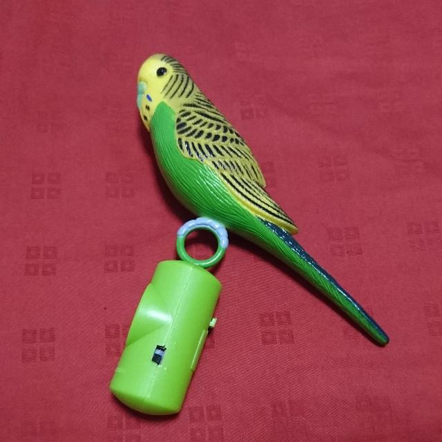 Budgie buddy hot sale