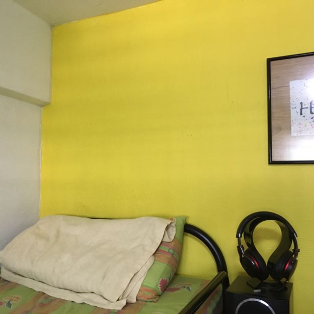 Dulux Paint, Furniture & Home Living, Home Decor, Wall Decor on Carousell