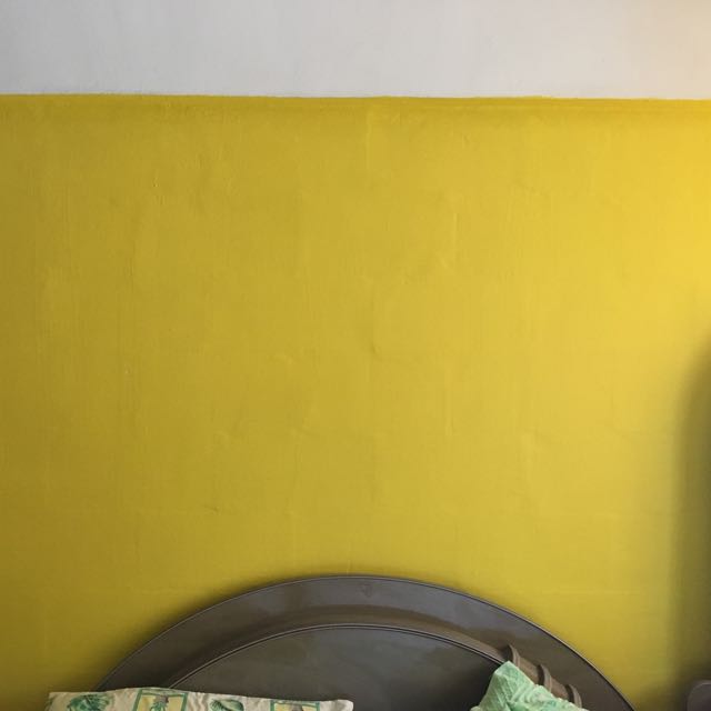 Dulux Paint, Furniture & Home Living, Home Decor, Wall Decor on Carousell