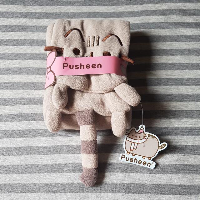 winter pusheen plush
