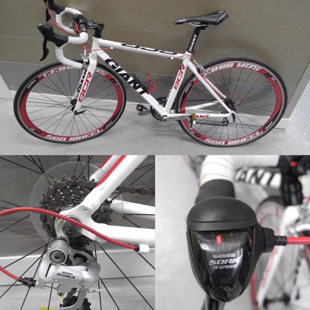 Giant scr on sale 2013
