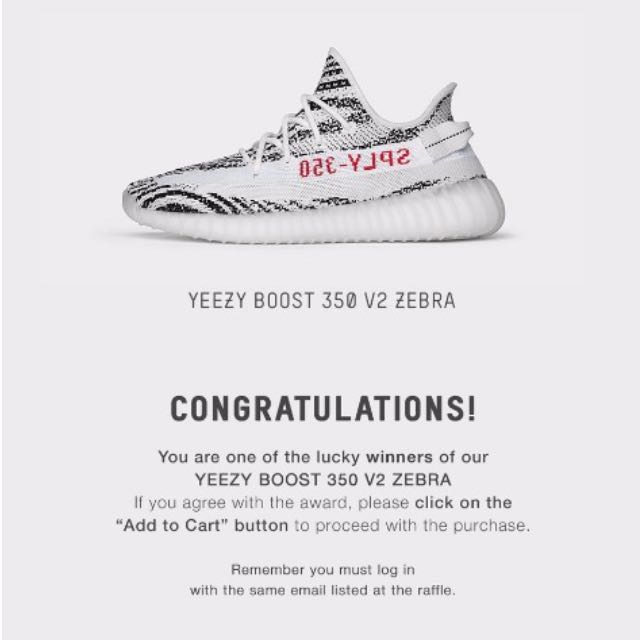 Zebra re 2024 release