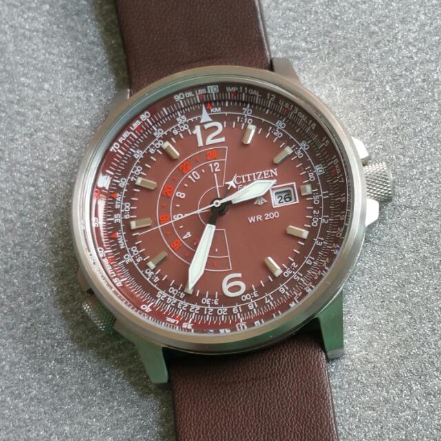 Nighthawk havana clearance