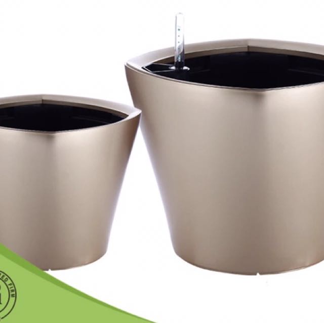 Self Watering Kit With Potting Mix And Seeds, Furniture & Home Living