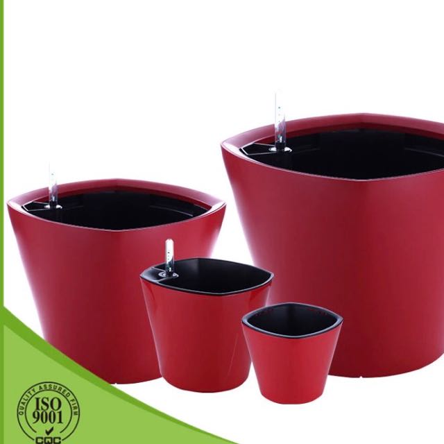 Self Watering Kit With Potting Mix And Seeds, Furniture & Home Living