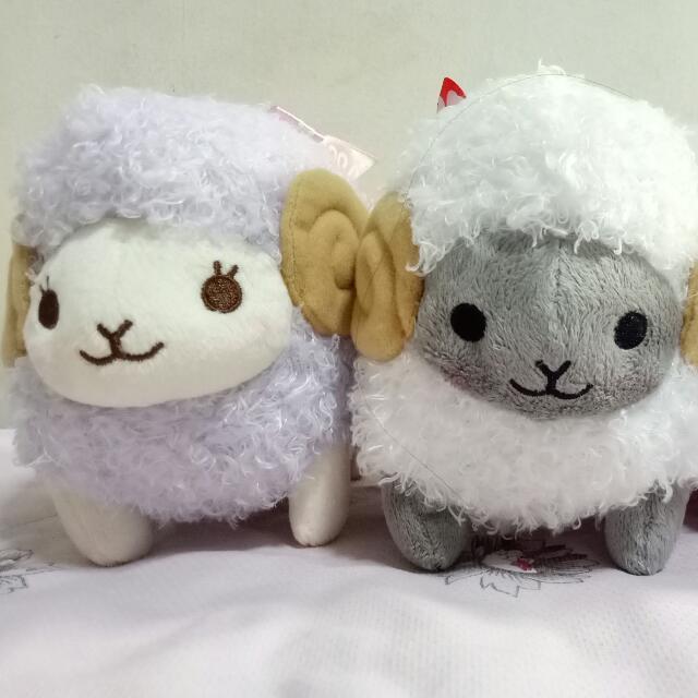 amuse wooly sheep