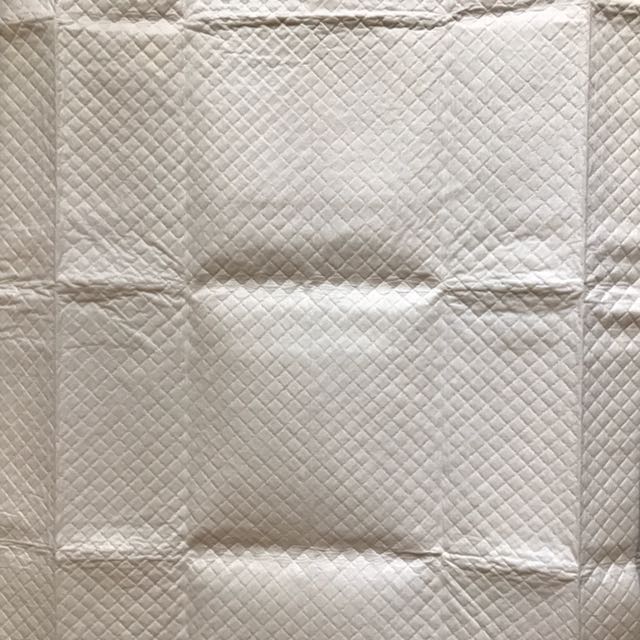 8 Packets Absorb Plus AntiBacterial Pee Sheets Pee Pads, Pet Supplies