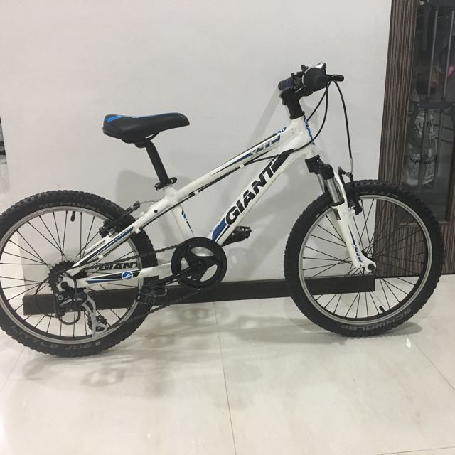 Giant xtc jr 20 2012 shop