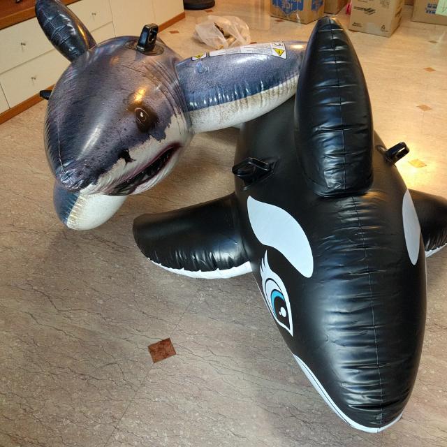 intex inflatable shark