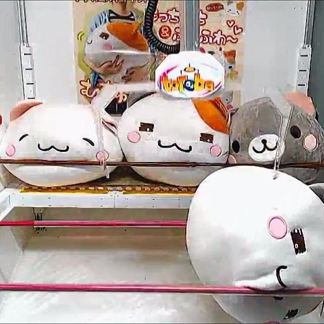 mochi cat plush