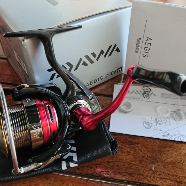 人気沸騰ブラドン DAIWA AEGIS 2505F DAIWA THEORY 2506H セット（Daiwa New リール