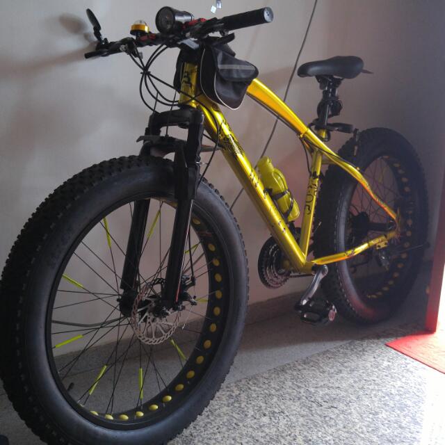 golden fat bike