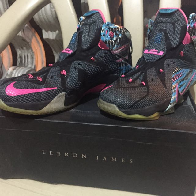 lebron james the twelve shoes price