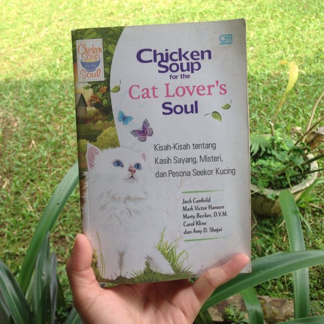 Chicken Soup For The Cat Lover S Soul On Carousell