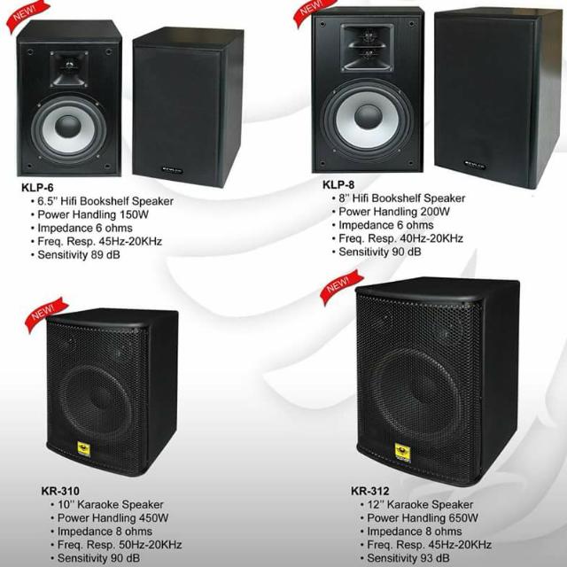 karaoke speakers with amplifier
