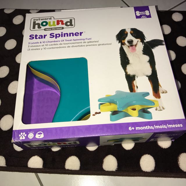 Star spinner dog toy top