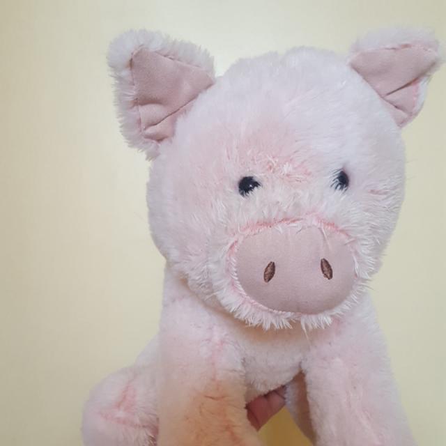 pig stuff toy miniso