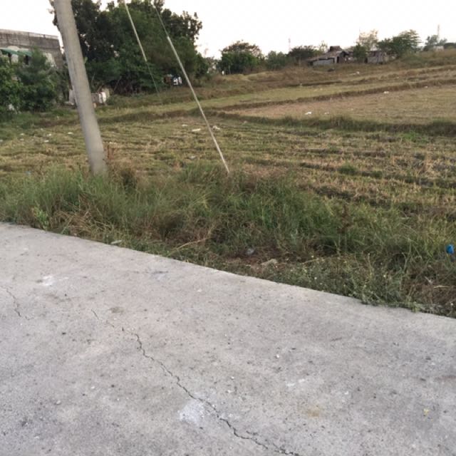 Lot For Sale At San Rafael Tarlac City, Property, For Sale on Carousell