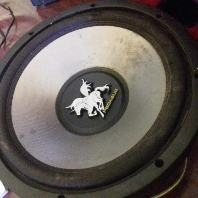 speaker pegasus 12 inch