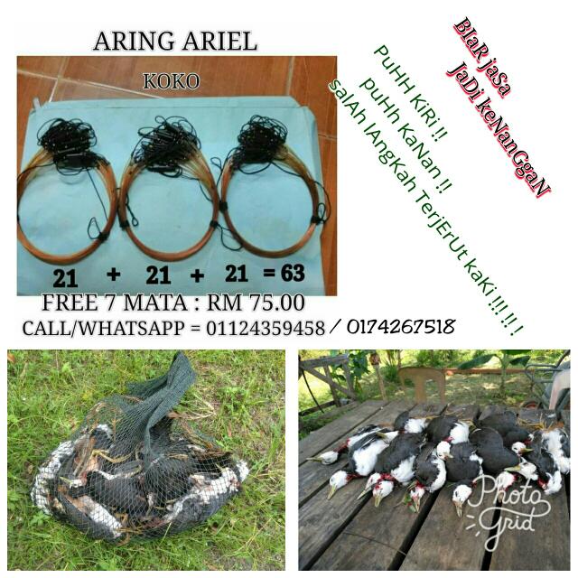 Paling Populer 20+ Gambar Burung Wak Wak - Richa Gambar