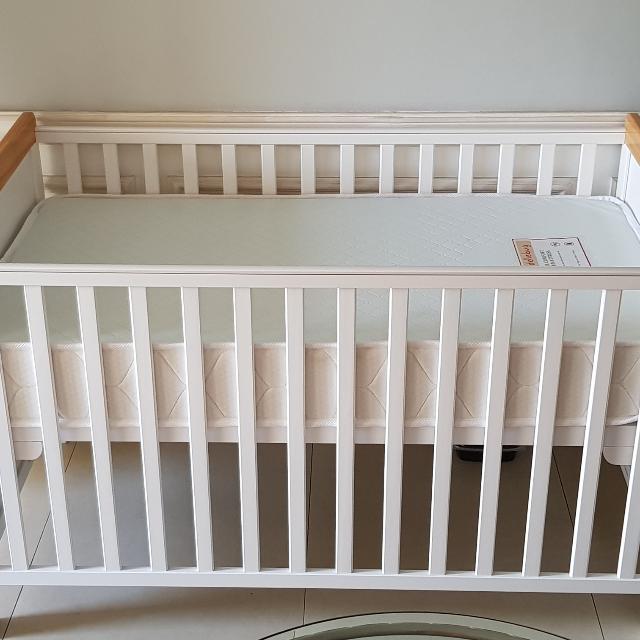 cuddle bug crib review