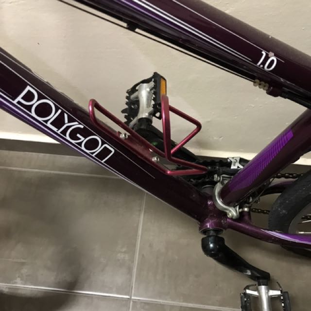 polygon cleo 2.0 2019