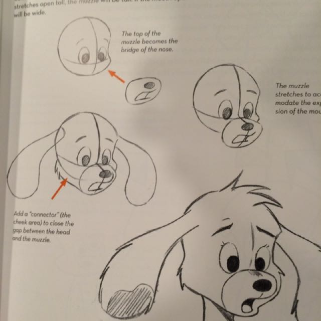 How To Draw Cute Animals Book Books Stationery Children S Books On Carousell Understand the fast way to draw cartoon animal.