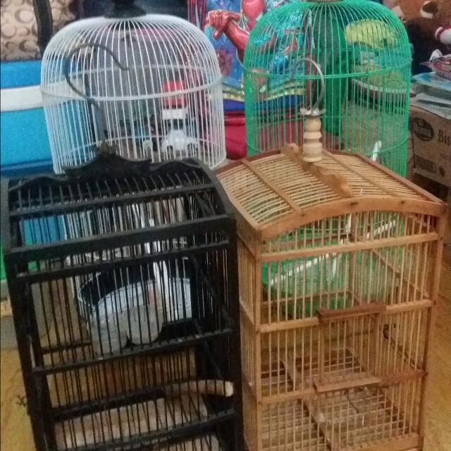 Harga Kandang Burung Kecil Kayu Tentang Kolam Kandang Ternak