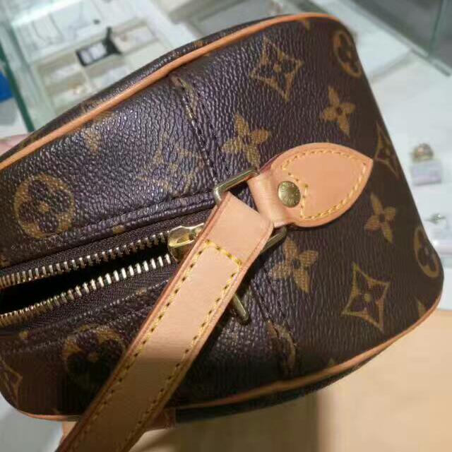 lv apple bag trip from japan Luxury Bags Wallets on Carousell