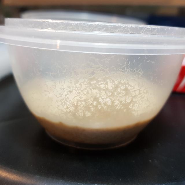 Microworms for deals betta fry