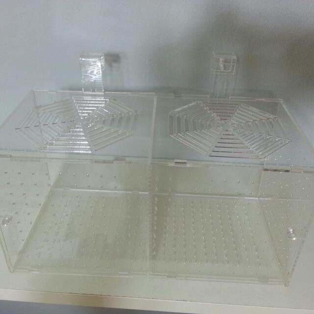 Big Breeding box, Pet Supplies, Homes & Other Pet Accessories on Carousell