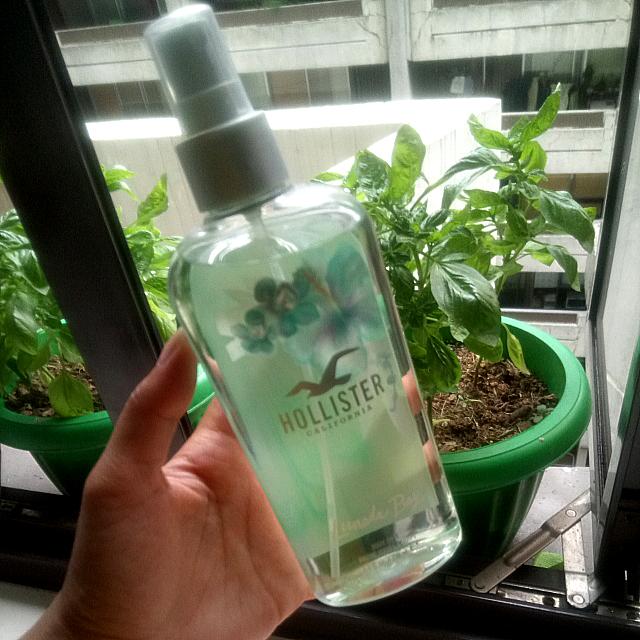 Hollister lunada store bay body mist