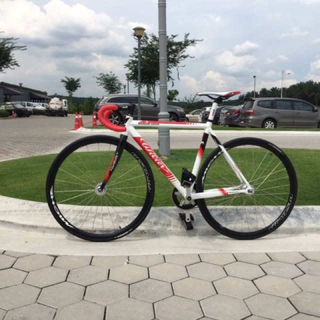 wilier fixie