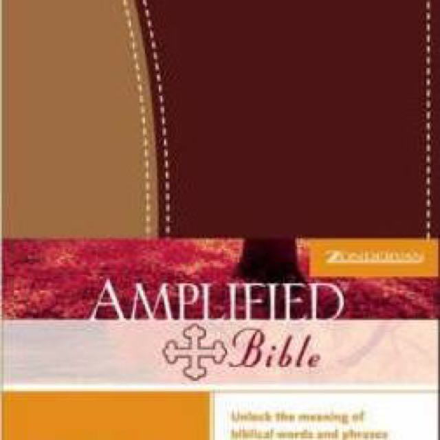 Amplified Bible, Hobbies & Toys, Books & Magazines, Children's Books On ...