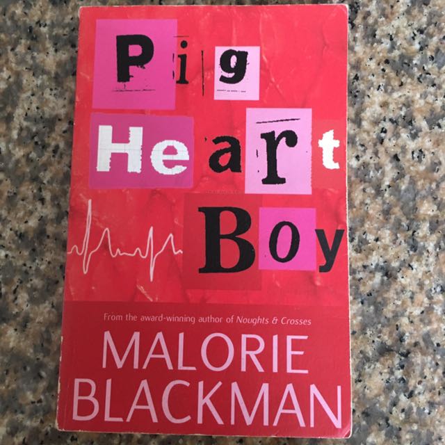 Pig Heart Boy, Hobbies & Toys, Books & Magazines, Children's Books on