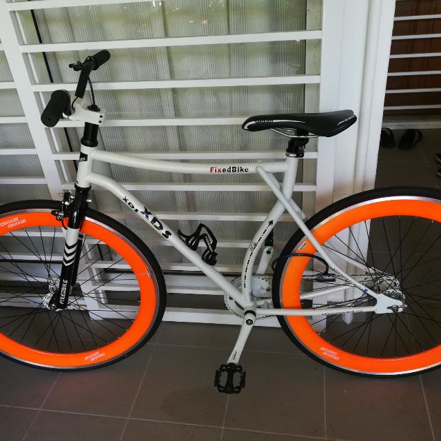 Xds 2025 sprint fixie