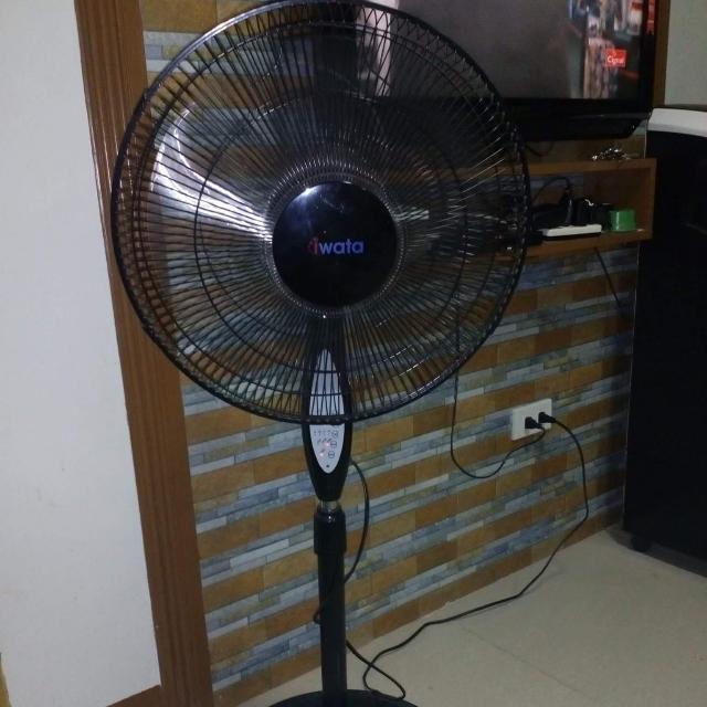 Iwata 16 Remote Control Pedestal Fan With Timer On Carousell