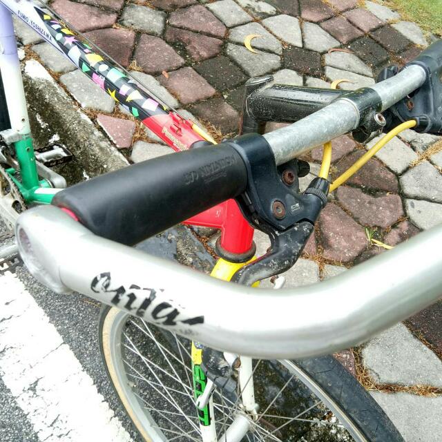 Original Vintage Retro Mtb Panasonic Mountain Cat Bike Bicycle