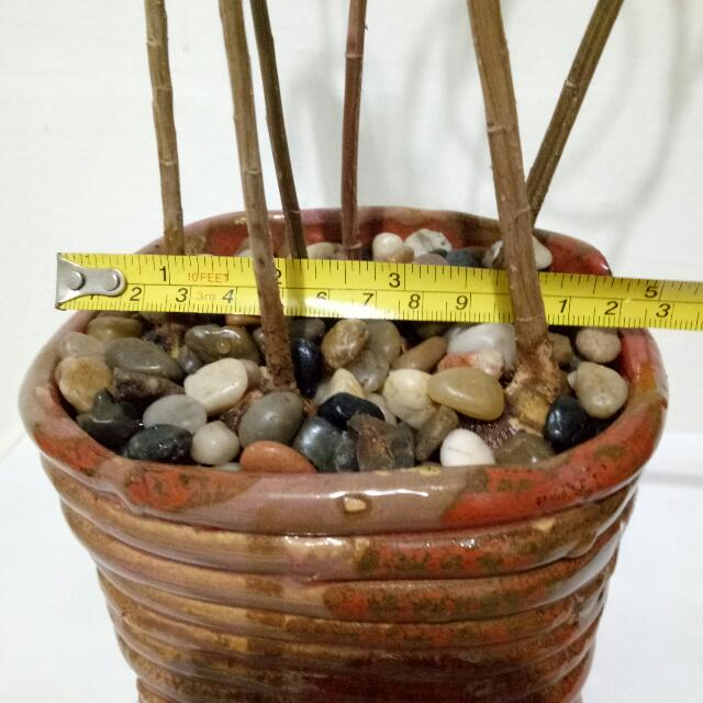 22. Indoor Plant, Furniture & Home Living, Home Decor, Artificial