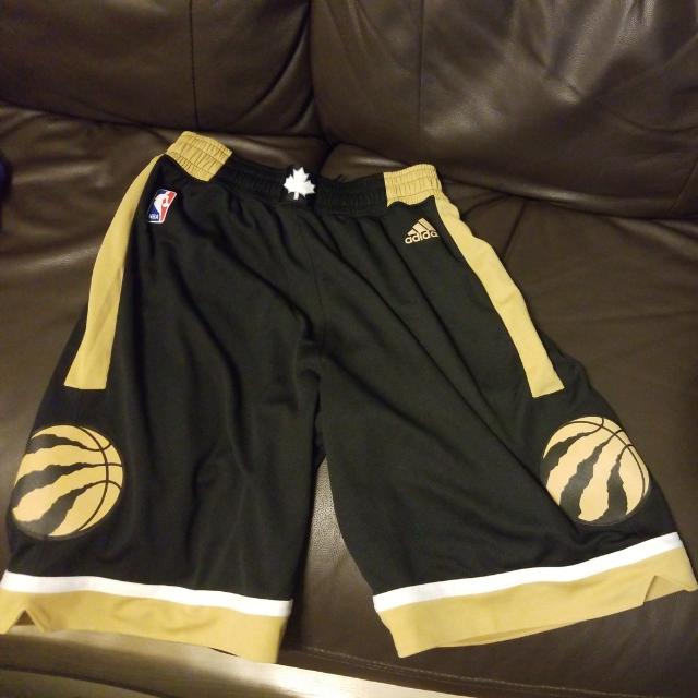 Authentic Nba Swingman Shorts Rare Color Toronto Raptors