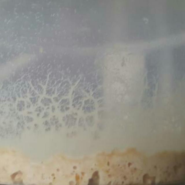 Betta clearance fry food