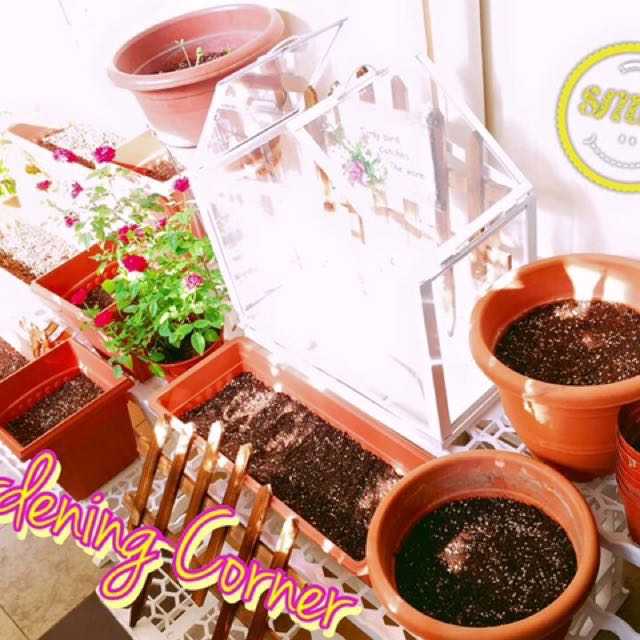 Ikea Greenhouse 4 Sets Foc With Purchase Over 30 Gardening On Carousell