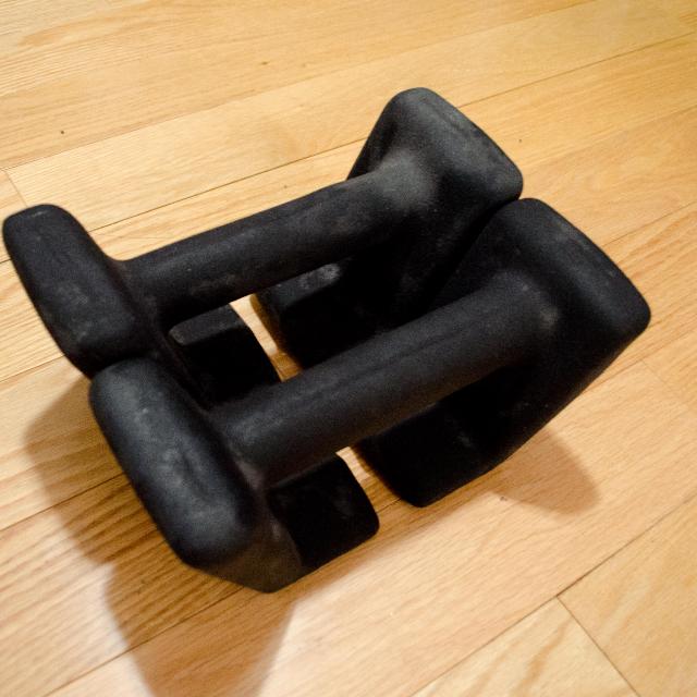 Everlast dumbbells discount