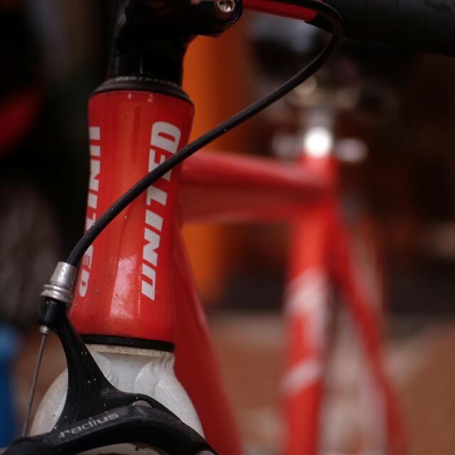  Inspirasi Harga Sepeda Fixie Soloist 77 Bekas Ginger Snap