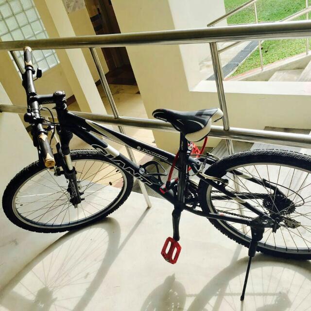 GIANT BRAND BICYCLE, Everything Else on Carousell