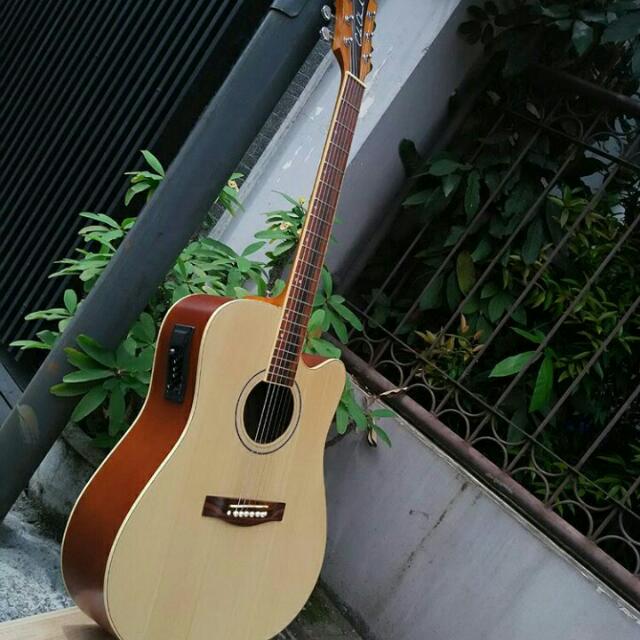 Gitar cole clark custom sale