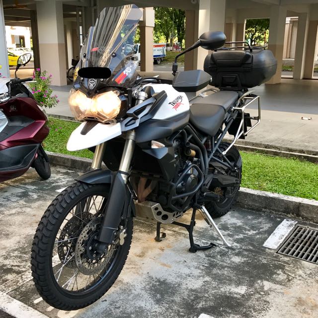 Triumph Tiger 800 For Sale 2024 www tofrei