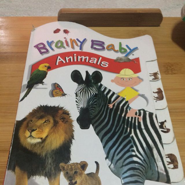(4 For 300 Only!!!) Brainy Baby Early Learning Board Books ( children's