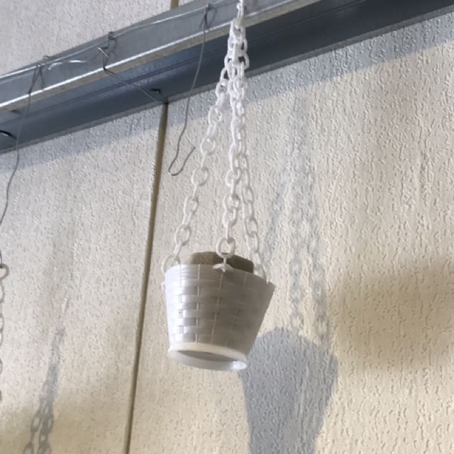 Pasu Gantung Plastik Home Furniture Home Decor On Carousell